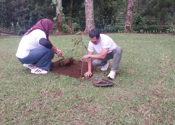 Mitigasi Bencana, Kejari Kabupaten Bogor Tanam Pohon di Kawasan Puncak