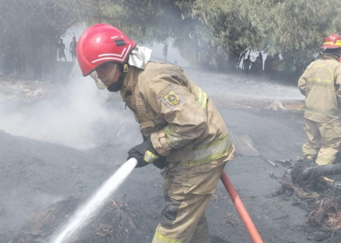 Gudang Penyimpanan Barang Rongsok Terbakar Akibat Puntung Rokok, Damkar Bogor Beri Imbauan