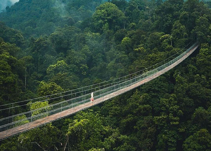 Jembatan Gantung Situ Gunung Sukabumi: Bisa Dijadikan Tempat Nge-date Gak Ya?
