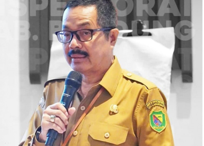 Soal Kasus PT BDS, Kepala Inspektorat Kabupaten Bandung Bantah Bertemu  Vendor 