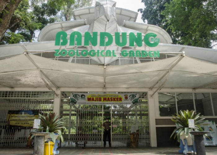 Kalah Banding! Kebun Binatang Bandung Terancam Tutup 25 Juli Mendatang