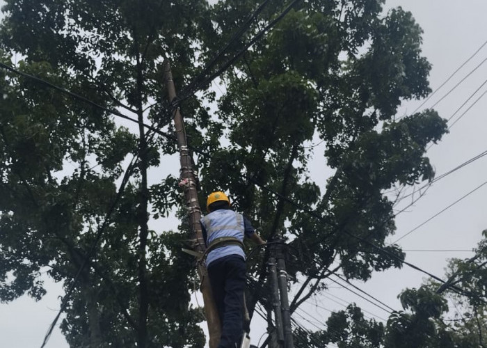 PLN Icon Plus dan Pemkot Bandung Bersinergi Menata Jaringan Fiber Optik demi Layanan Andal 