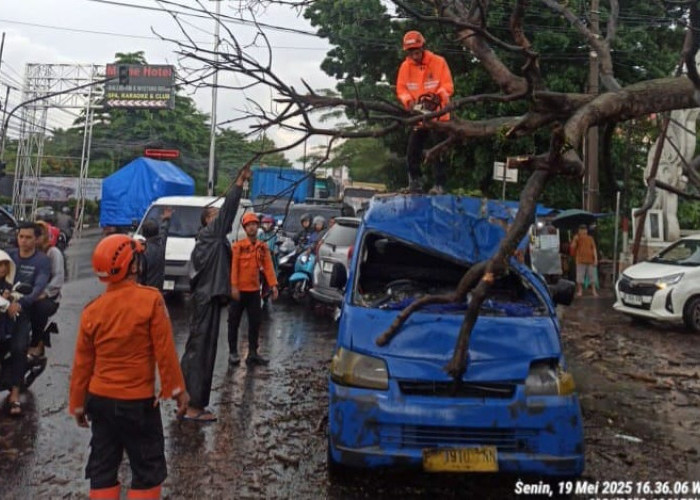 Pohon Tumbang Akibat Angin Kencang, Tiga Orang Luka