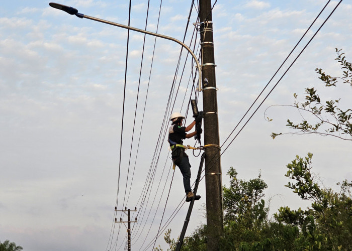 PLN Icon Plus Dukung Pelaksanaan Pilkada Serentak 2024 dengan Layanan Konektivitas Andal