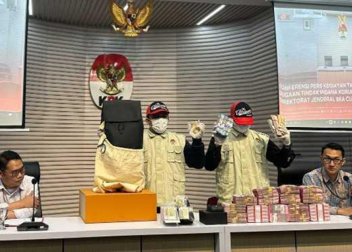 Kewenangan Penyidikan Tidak Tanpa Batas, Analis Soroti Kasus Bea Cukai dari Perspektif Negara Hukum
