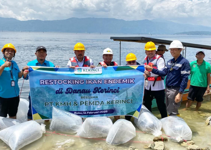 Dukung Nelayan, PT KMH Restocking Ikan Endemik di Danau Kerinci