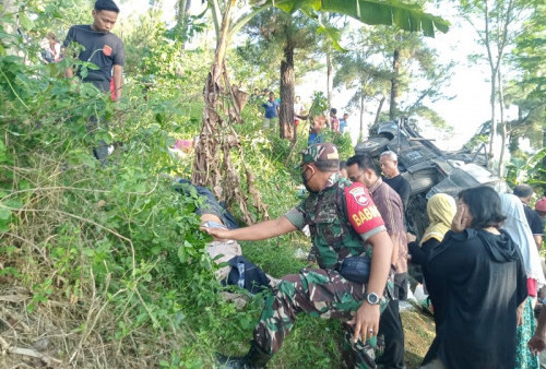 Bawa 27 Penumpang, Mobil Terjun Masuk Jurang Sedalam 100 Meter, Begini Kondisi Korban