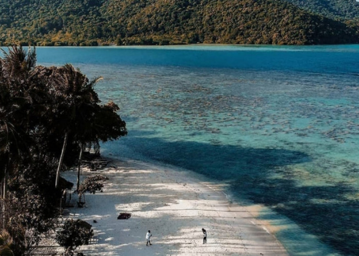 7 Alasan Mengapa Anda Harus Ke Karimun Jawa: Surga Tersembunyi di Tengah Laut Jawa