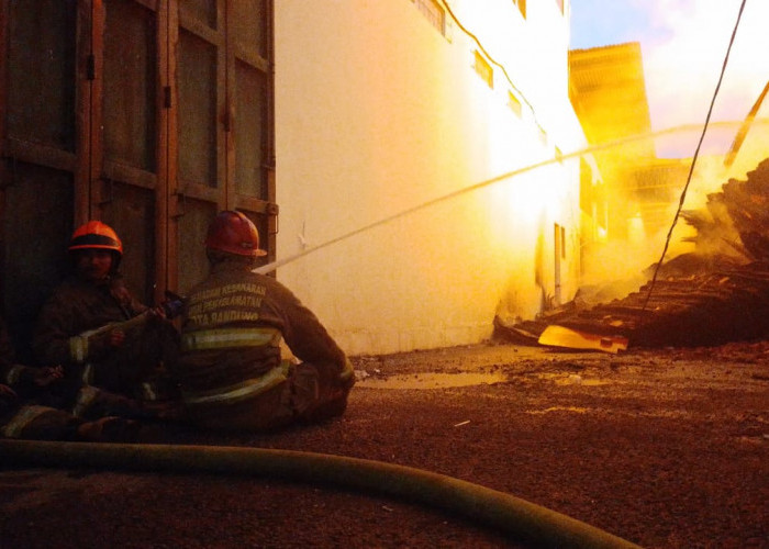 Polisi Masih Dalami Penyebab Kebakaran Pabrik Triplek