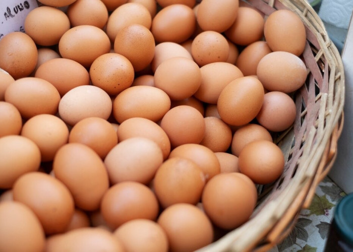 Sumber Protein Hewani Paling Enak dan Gampang Dikonsumsi, Ini Manfaat dan Kandungan yang Dimiliki Telur