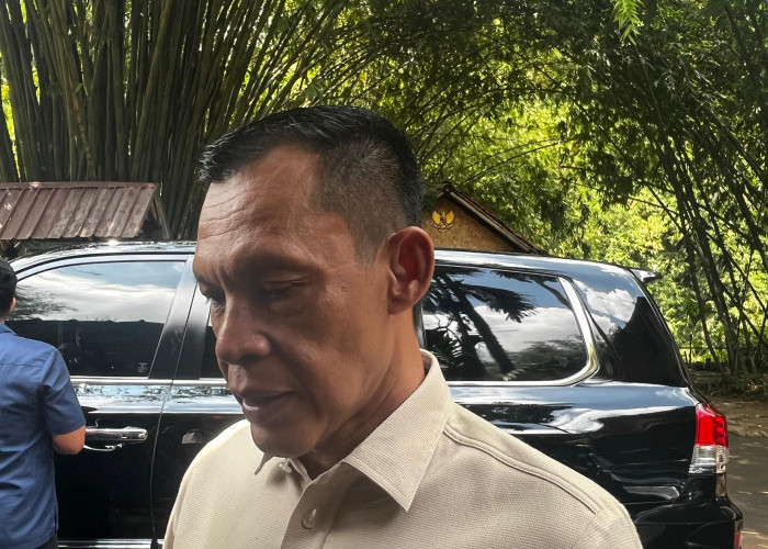 Wabup Bogor: Jangan Batasi Penanaman Pohon Bambu