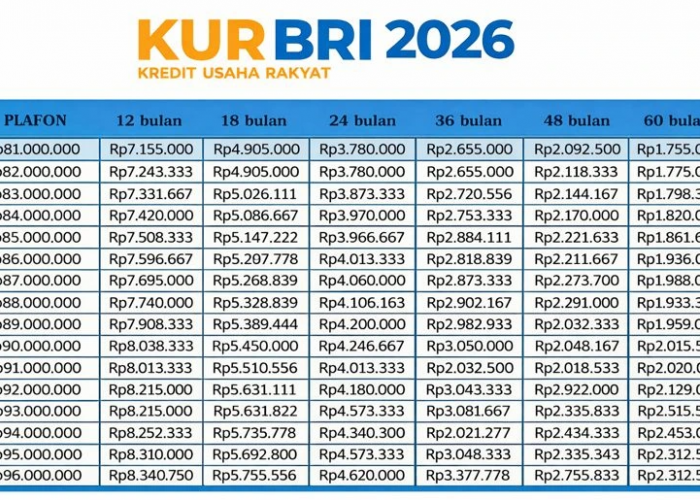 Pinjaman KUR BRI Rp50 Juta Terbaru: Tenor Panjang, Cicilan Ramah UMKM