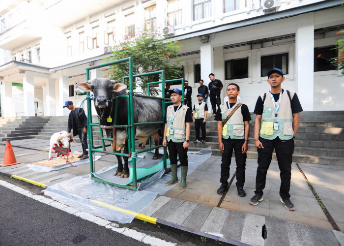 Pemkot Bandung Kerahkan 184 Petugas untuk Memastikan Kesehatan Hewan Kurban sampai Hari Tasyrik