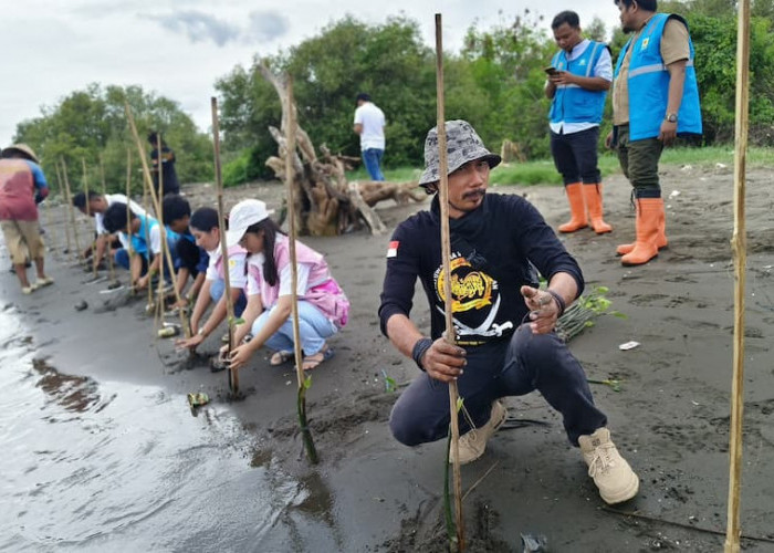 Rayakan Hari Menanam Pohon, PLN Icon Plus dan PLN Group Serentak Hijaukan Indonesia   