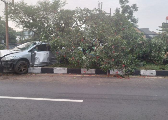 Hindari Penyebrang, Sedan Lompati Marka Jalan Soekarno Hatta Hingga Patahkan Pohon