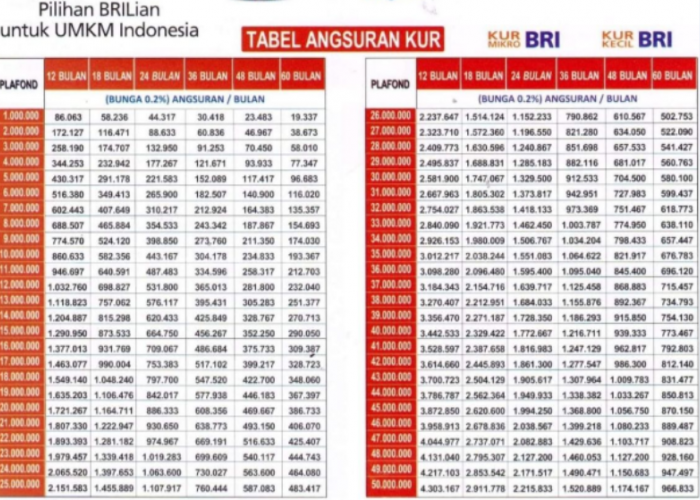 KUR BRI 2026 Cair Lagi, Pinjam Rp80 Juta Cicilan Bisa di Bawah Rp2 Juta? Cek Disini!