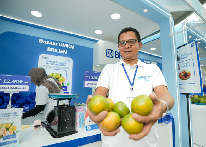 Merintis dari Sepada Motor, Kini Antoni Mampu Kirim hingga 3 Truk Sehari Berkat Pemberdayaan BRI  