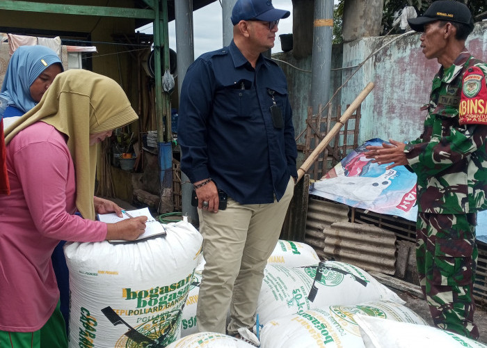 Dukung Swasembada Pangan, BULOG Bandung Serap 30 Ribu Ton Gabah Petani