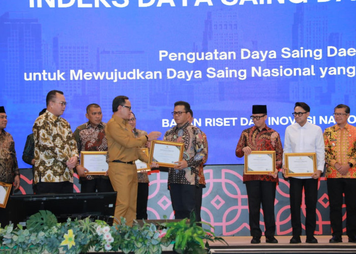 Lewat Inovasi, Kang DS Raih Penghargaan BRIN untuk Kabupaten Bandung