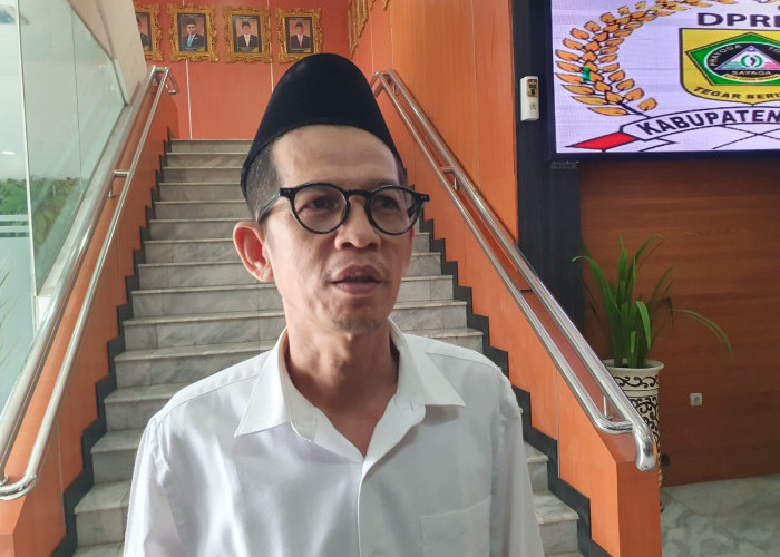 Komisi I DPRD Kabupaten Bogor Dorong Pemerintah untuk Perawatan Pohon: Jangan Sampai Makan Korban Lagi