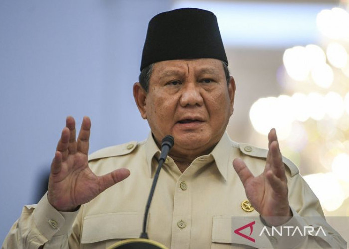 Mengenal Apa Itu Danantara yang Dibentuk Presiden Prabowo