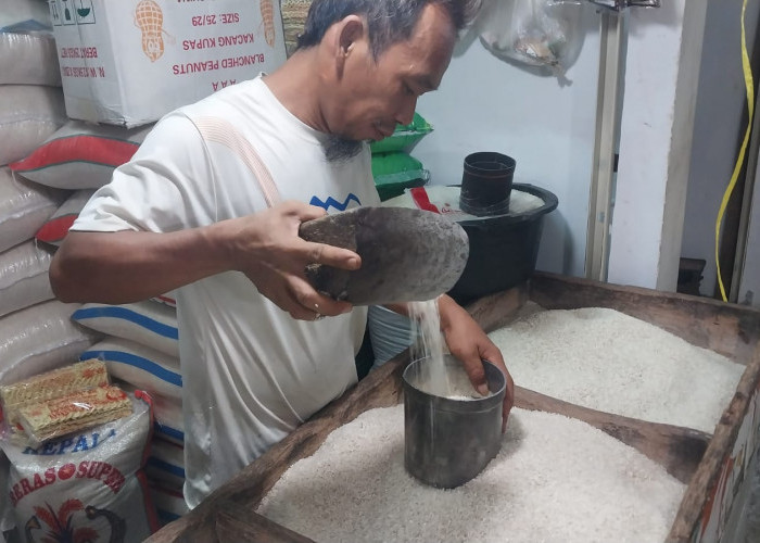 Wali Kota Bogor Sebut Tidak Ada Beras Oplosan, Ini Respons Pedagang hingga Masyarakat