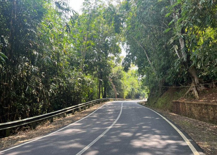 Jalur Wado–Sumedang di Situraja Gelap saat Malam, Warga Minta PJU Segera Diperbaiki