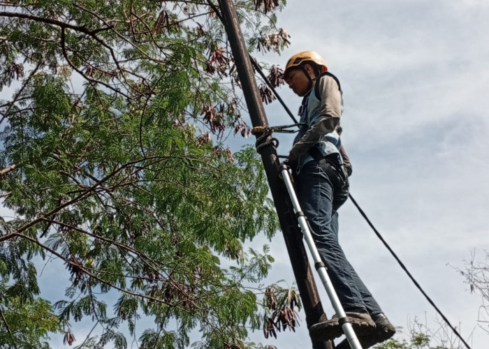 PLN Icon Plus Tingkatkan Jaringan Lewat Penataan dan Pemeliharaan Aset Ketenagalistrikan di Cibeber, Cirebon