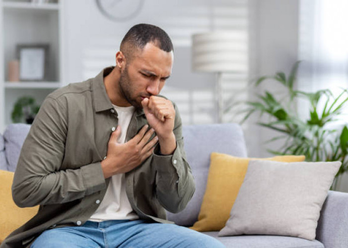 Pengertian dan Ciri-Ciri Penyakit Infeksi Paru-paru Pneumonia
