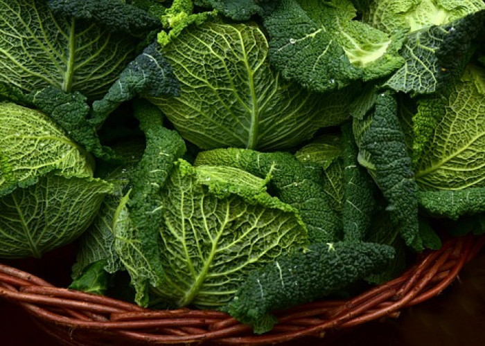 5 Sayuran yang Dapat Dikonsumsi oleh Penderita Darah Tinggi