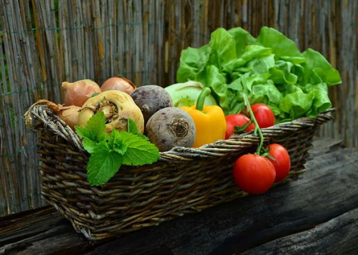10 Tips Menanam Sayuran di Rumah Agar Tumbuh dengan Baik!   