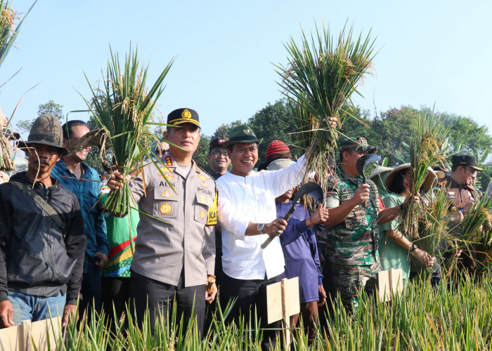Berkomitmen Dukung Swasembada Pangan Nasional, Kang DS: Penetapan Pembebasan Pajak Lahan Sawah Abadi