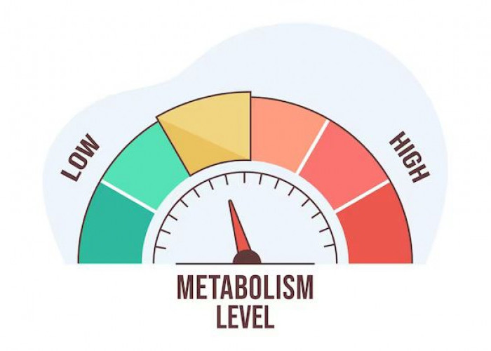 Metabolisme Cepat Berat Badan pun Cepat Turunnya, Begini Cara Mudahnya!