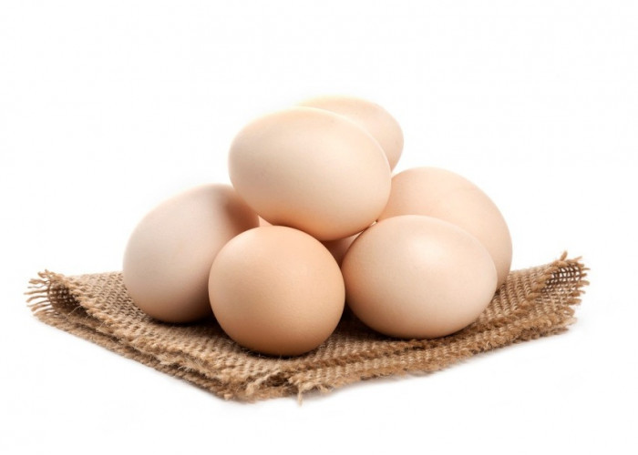 6 Cara Membedakan Telur yang Sudah Busuk: Panduan Praktis untuk Konsumen Pintar