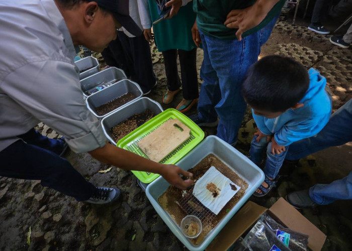Catat! Ini 10 Titik Penyimpanan Limbah B3 Rumah Tangga di Kota Bandung