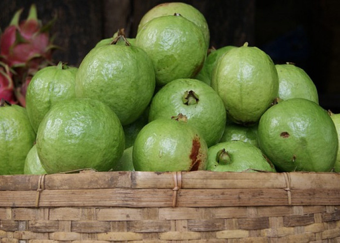 Si Buah Ajaib Nan Muriah Meriah! Ternyata Ini 7 Manfaat Jambu Biji untuk Kesehatan !   