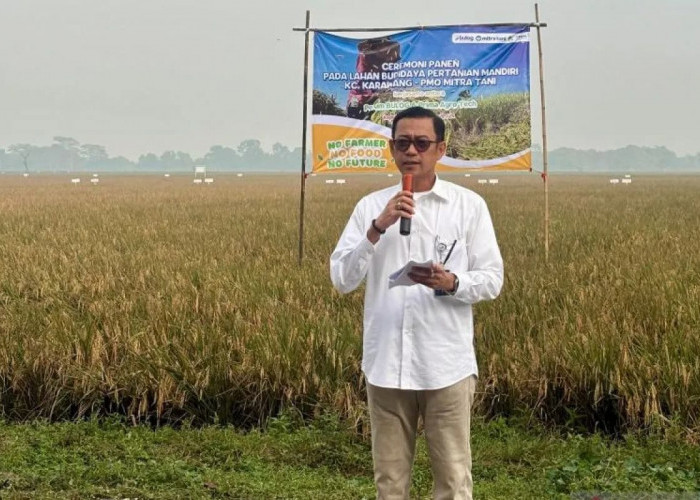 Sampai Awal Mei 2025, Bulog Jabar Serap Beras Hasil Panen Petani 338.032 ton