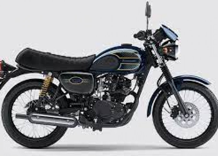 Motor Keren Nih! Kawasaki W175, Motor Klasik yang Menarik Ribuan Pasang Mata, Kinerja Tangguh, Bodi Bagus!