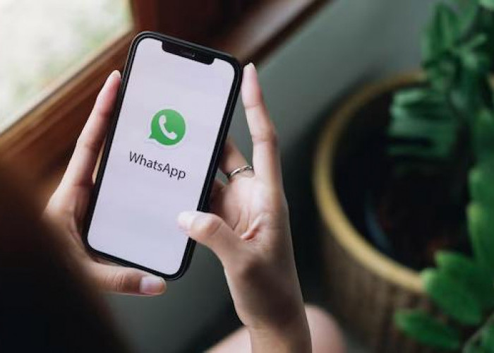 Apa Itu WhatsApp Beta? Berikut Fitur-fitur Menarik yang Kamu Dapat di WhatsApp Beta