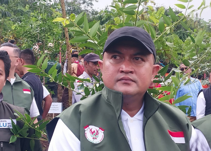 Pemkab Bogor Bakal MoU dengan Pemkot Depok untuk Bangun Underpass di Citayam