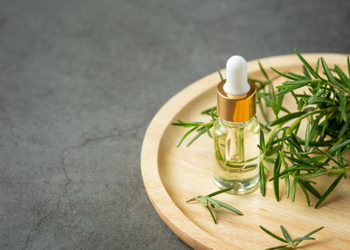 Ketahui 5 Manfaat Rosemary Oil untuk Rambut Lebih Tebal dan Sehat