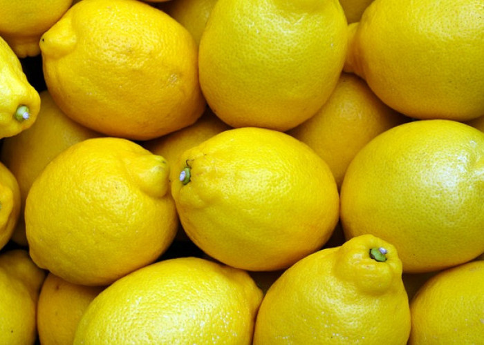 8 Manfaat Lemon Bagi Kesehatan Tubuh