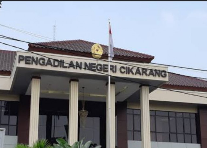 Kasus Seseorang yang Ngaku Advokat hanya Dituntut Jaksa 6 Bulan Hukuman Penjara, Praktisi Hukum:Terlalu Rendah