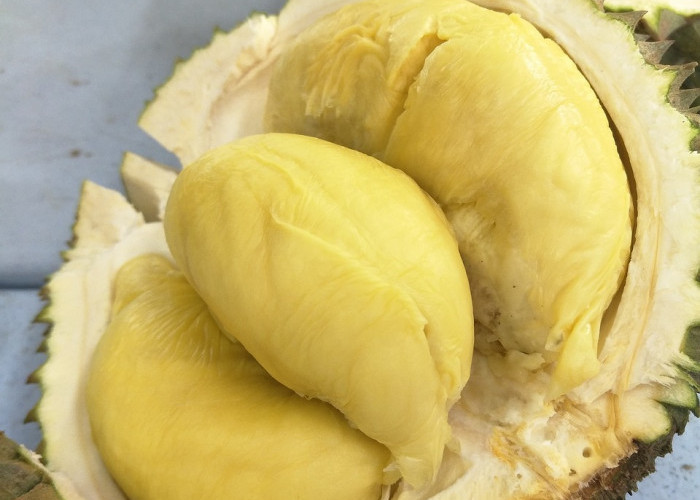 5 Jenis Durian Enak yang Bisa Jadi Pilihan Dari Montong sampai Petruk, Mana Favoritmu?   