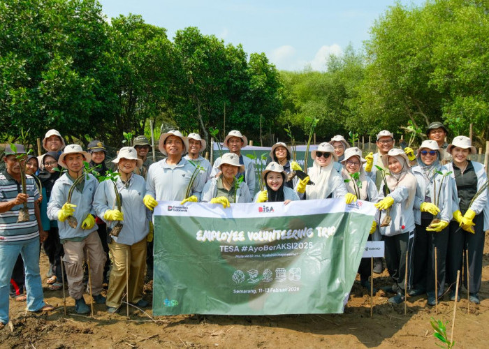 Program Ayo Beraksi, Cara Telkom Galakkan Penanaman Mangrove di Pesisir Semarang