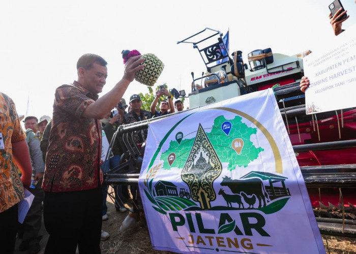 Produksi Padi Jateng Sudah Capai 6,69 Juta Ton, Ahmad Luthfi Optimistis Bisa Penuhi Target 