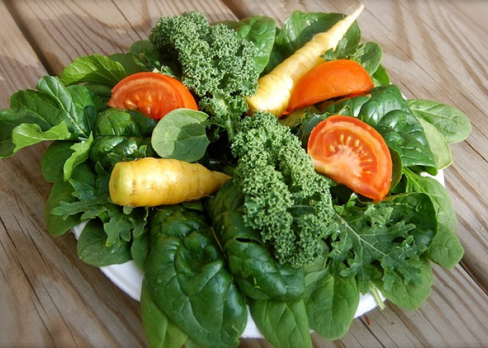 9 Jenis Sayuran yang Cocok untuk Ditanam di Halaman Rumah dengan Perawatan Mudah!   