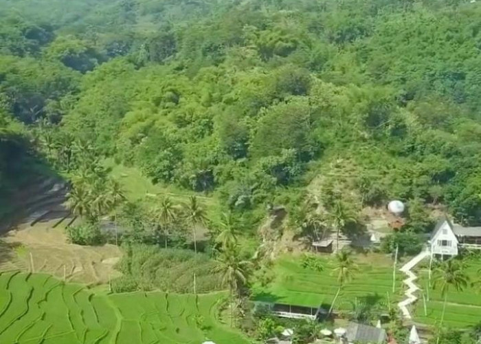 Berjarak 27 km dari Kota Garut, Pesona Antapura De Djati Wisata yang lagi Hits Ala Ubud Bali 