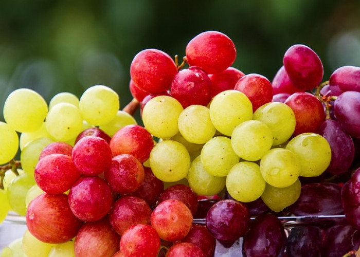 13 Jenis Anggur yang Populer dengan Rasa yang Unik dan Memikat Lidah!   
