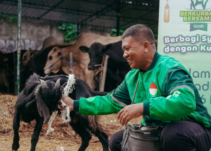 Ratusan Ekor Kambing Dibagikan Kepada Mitra Pengemudi Sebagai Bentuk Apresiasi Grab Dalam Semarak Iduladha 